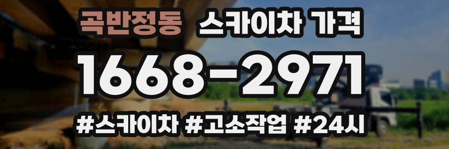 곡반정동 스카이차 가격