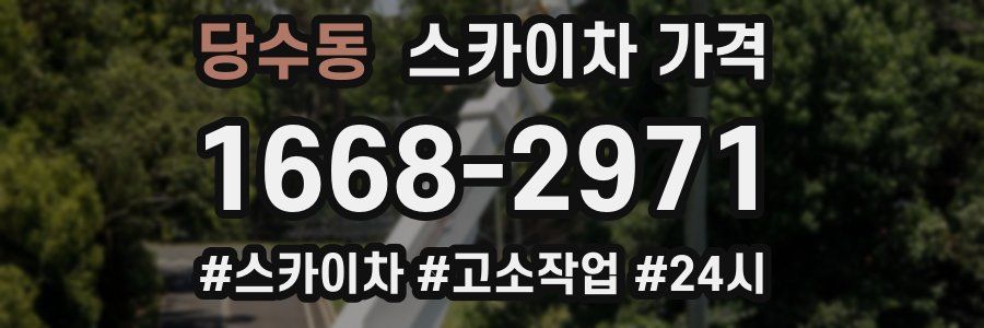 당수동 스카이차 가격