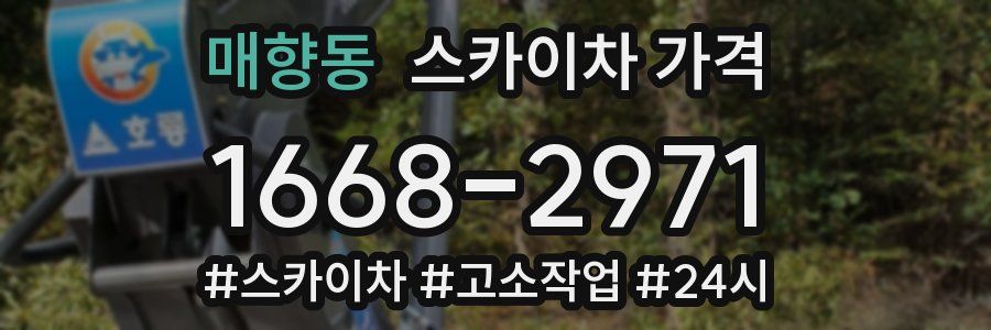 매향동 스카이차 가격