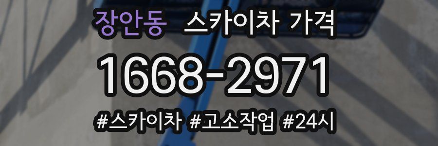 장안동 스카이차 가격