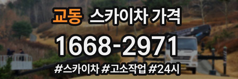 교동 스카이차 가격