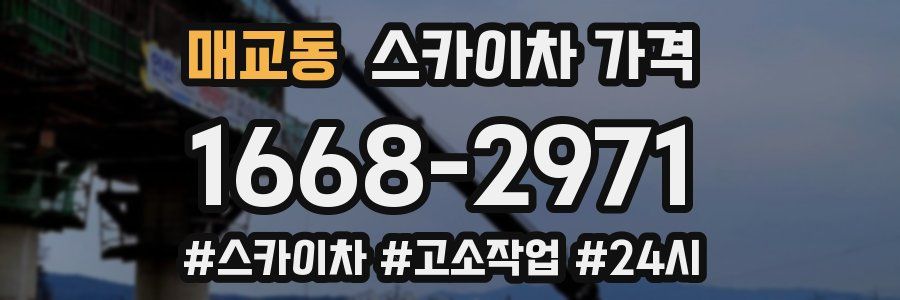 매교동 스카이차 가격