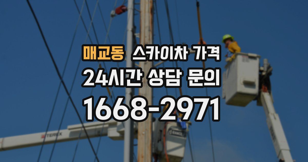 매교동 스카이차 가격