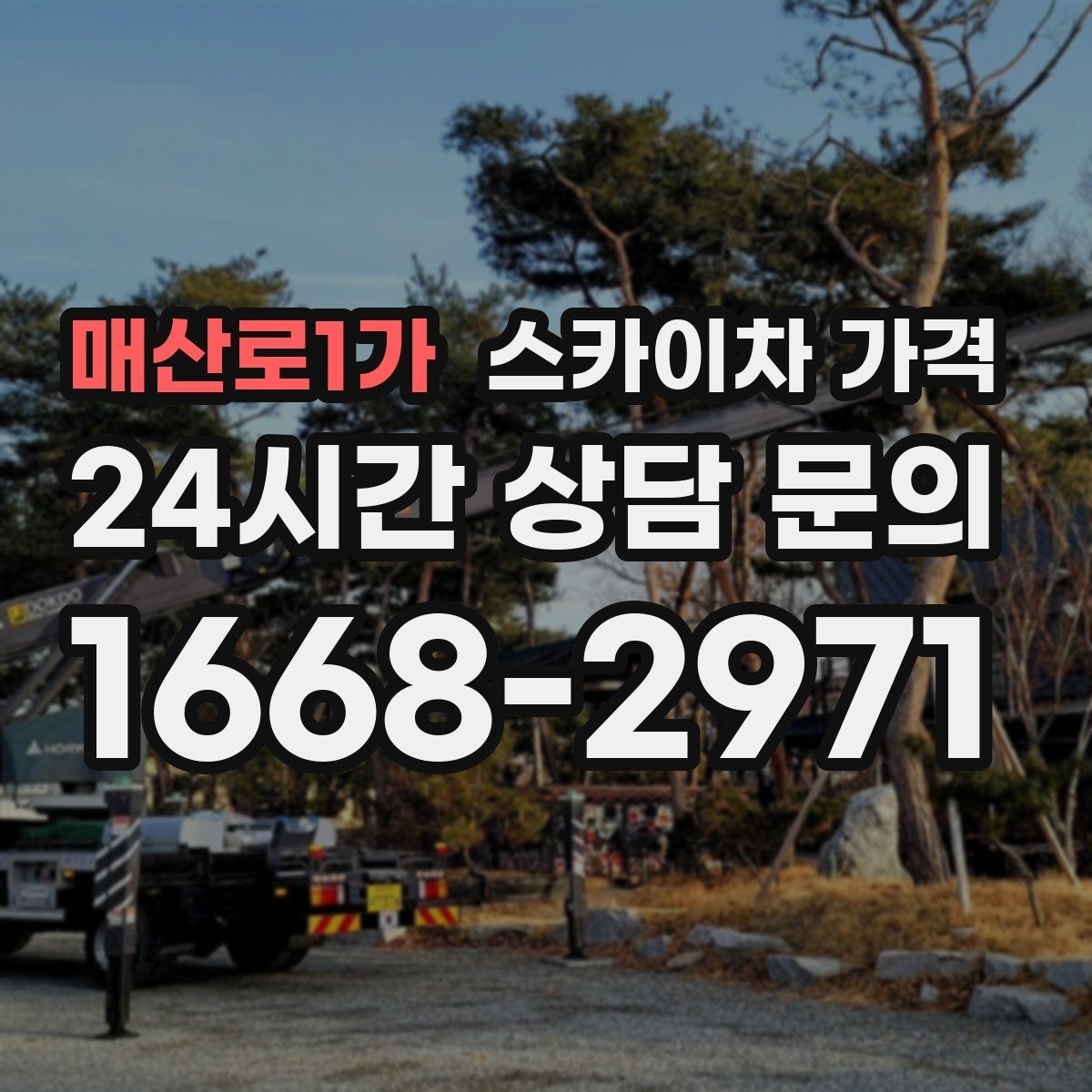 매산로1가 스카이차 가격 가지치기 작업은 바람이 변수인 이유