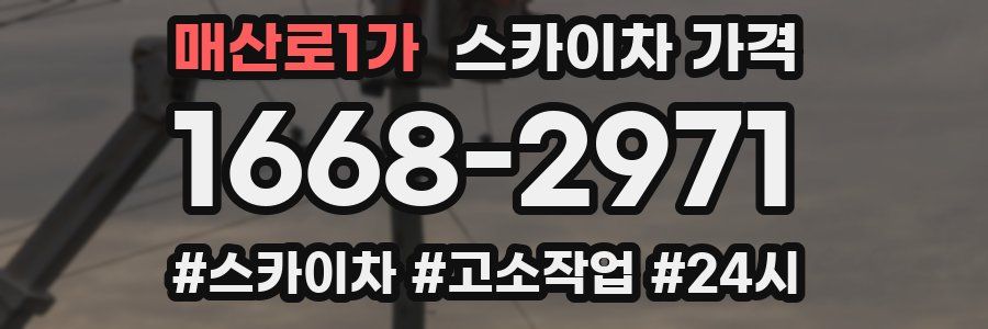 매산로1가 스카이차 가격