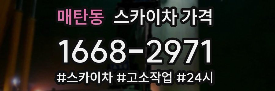 매탄동 스카이차 가격