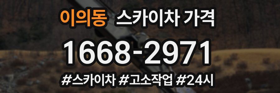 이의동 스카이차 가격