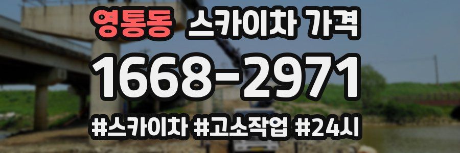 영통동 스카이차 가격