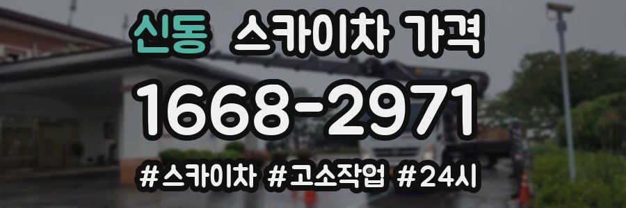 신동 스카이차 가격