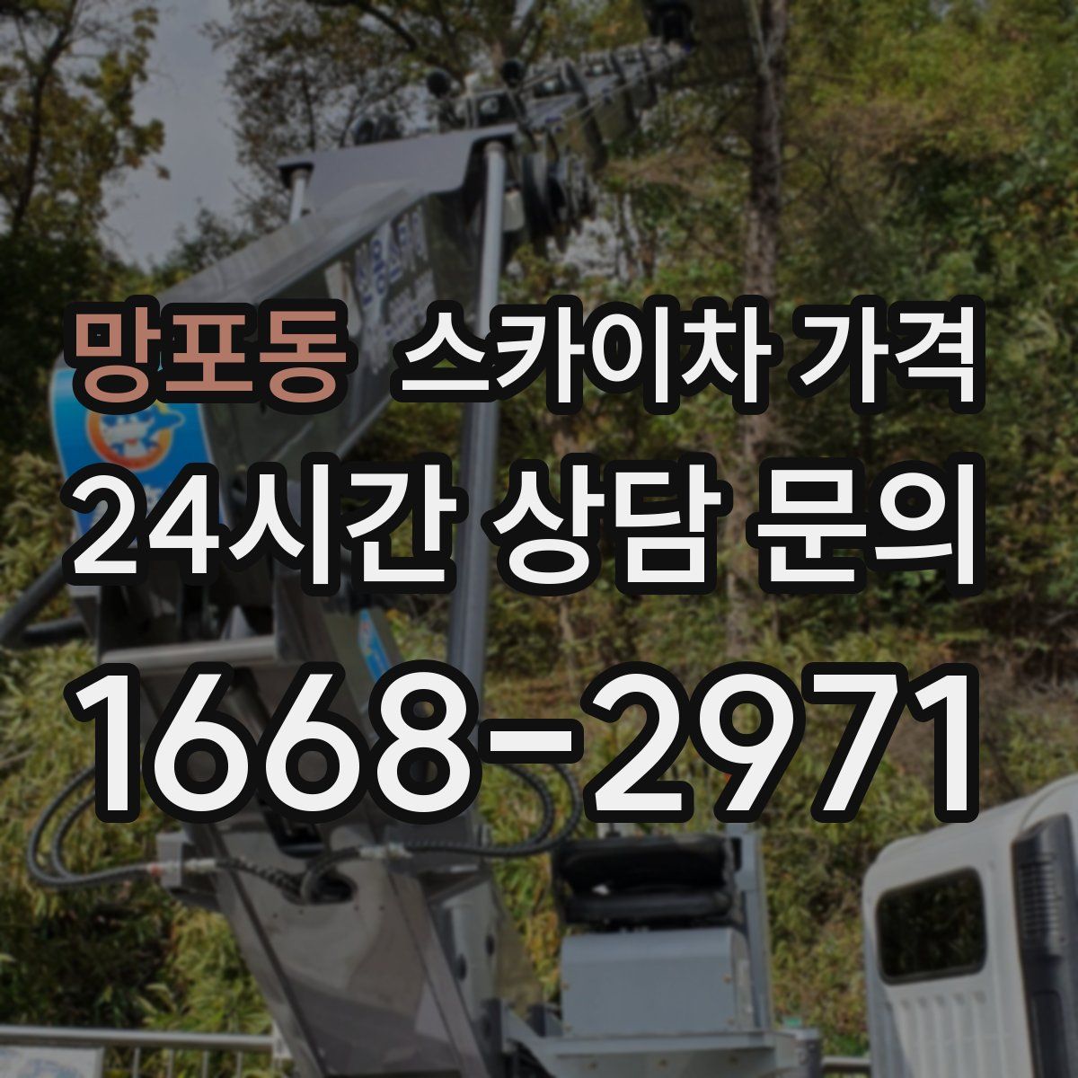 망포동 스카이차 가격