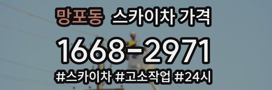 망포동 스카이차 가격