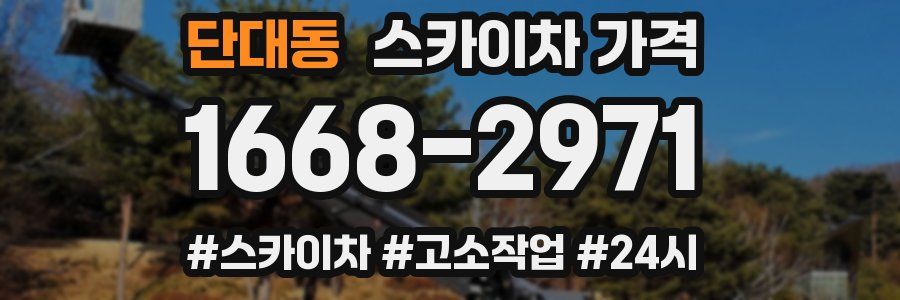 단대동 스카이차 가격