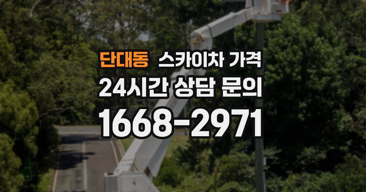 단대동 스카이차 가격