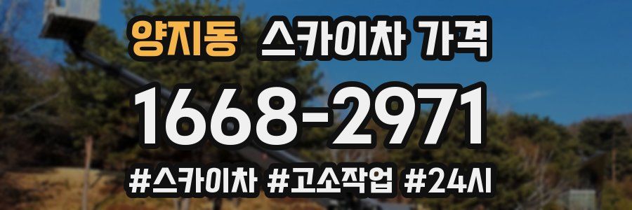 양지동 스카이차 가격