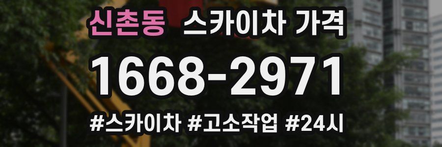 신촌동 스카이차 가격