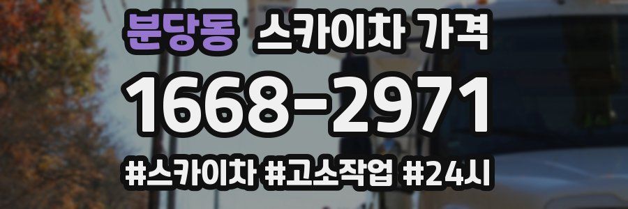 분당동 스카이차 가격