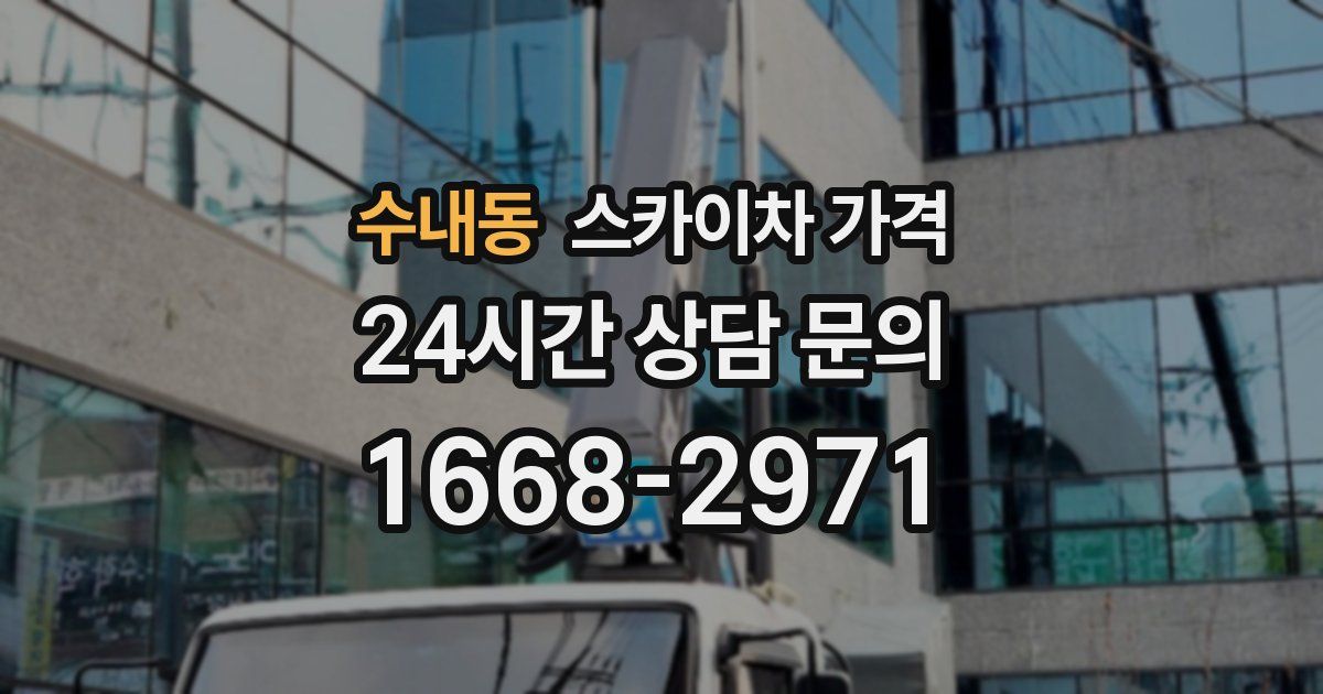 수내동 스카이차 가격