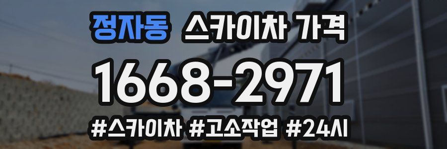 정자동 스카이차 가격