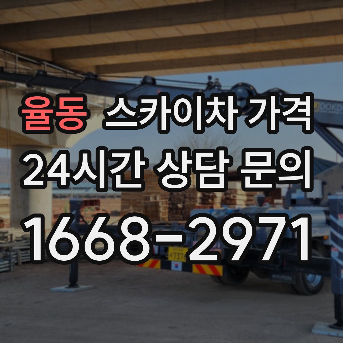 율동 스카이차 가격