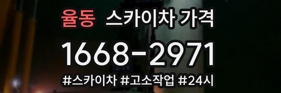 율동 스카이차 가격