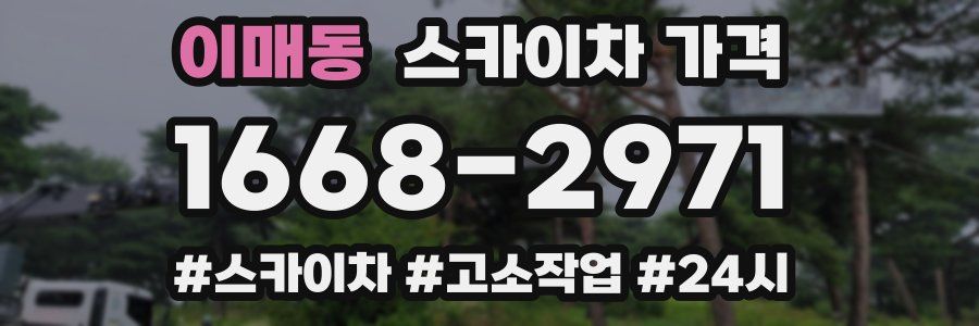 이매동 스카이차 가격