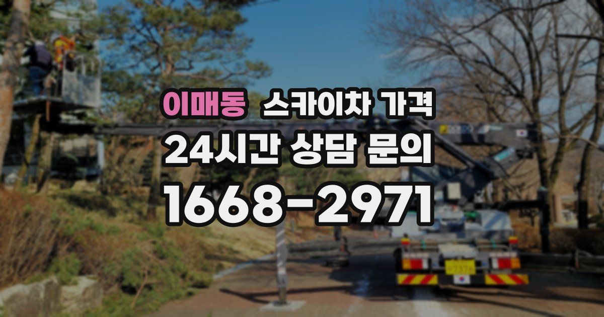 이매동 스카이차 가격