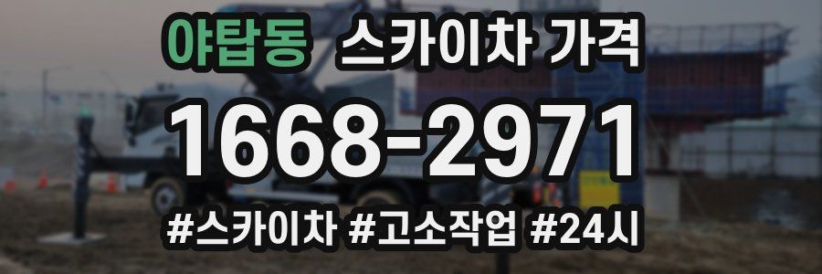 야탑동 스카이차 가격