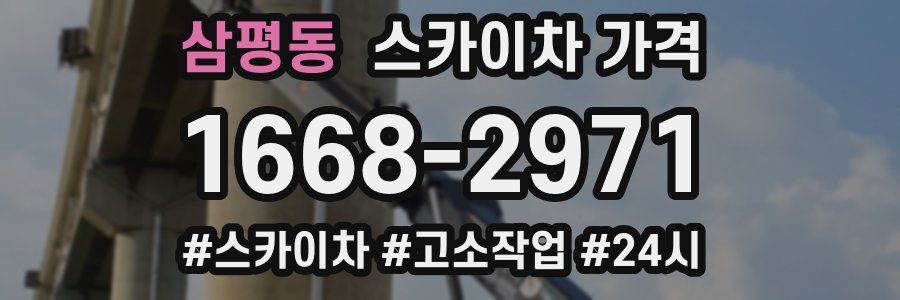 삼평동 스카이차 가격