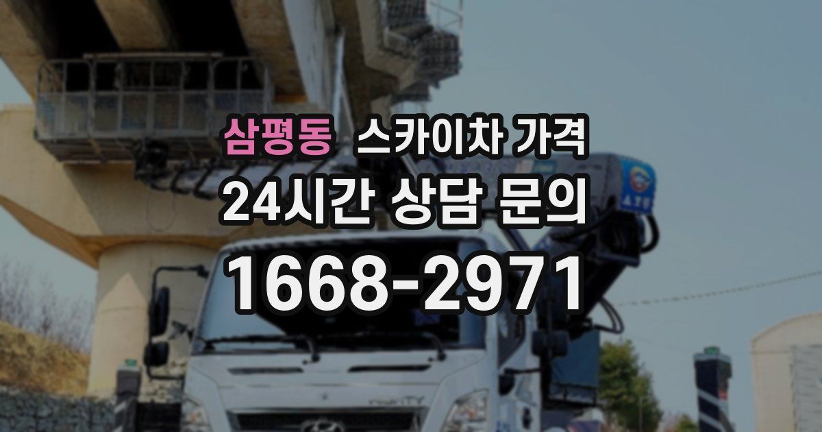 삼평동 스카이차 가격