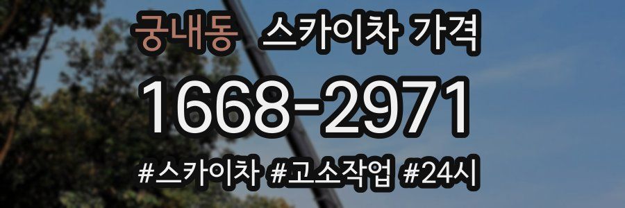 궁내동 스카이차 가격