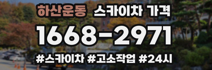 하산운동 스카이차 가격