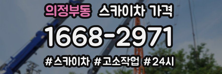 의정부동 스카이차 가격