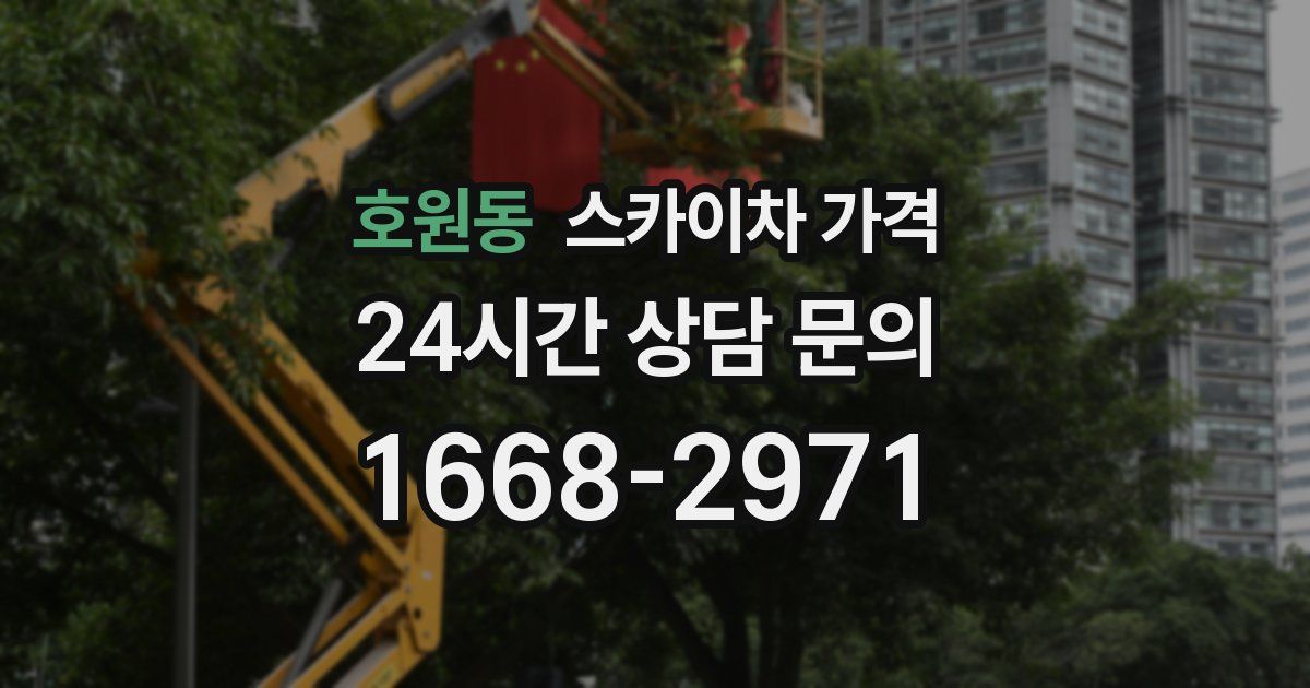 호원동 스카이차 가격