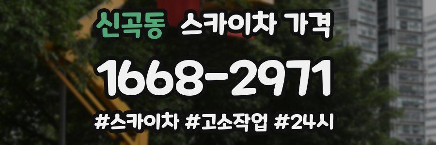 신곡동 스카이차 가격