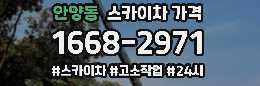 안양동 스카이차 가격