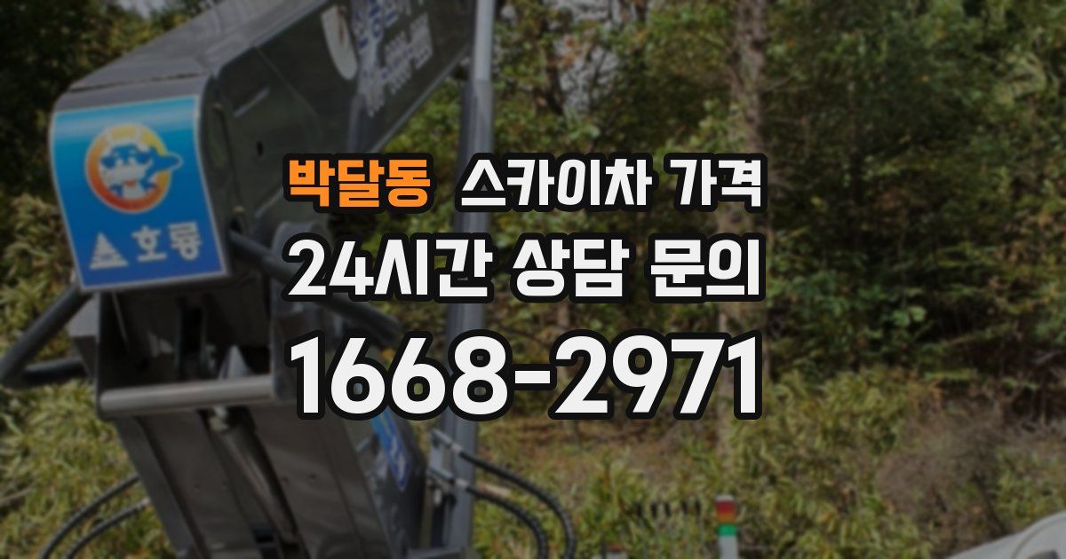 박달동 스카이차 가격