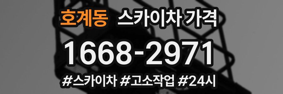 호계동 스카이차 가격