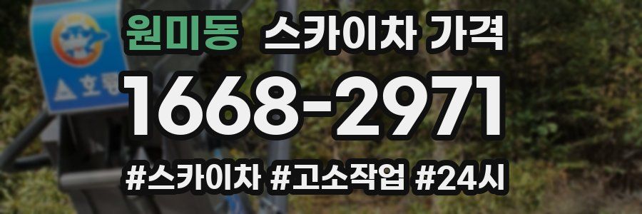 원미동 스카이차 가격