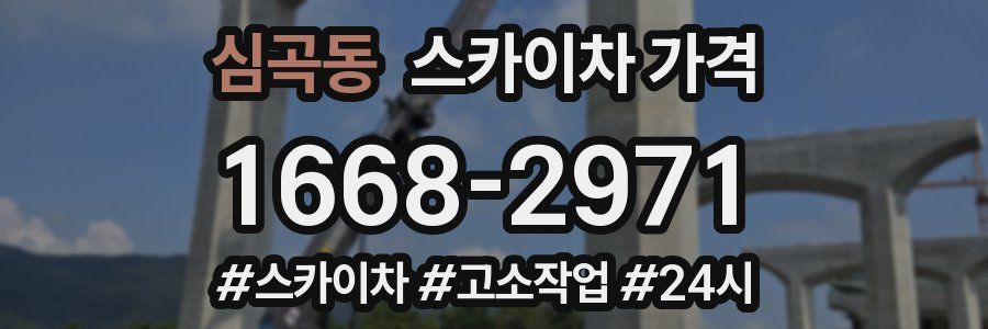 심곡동 스카이차 가격