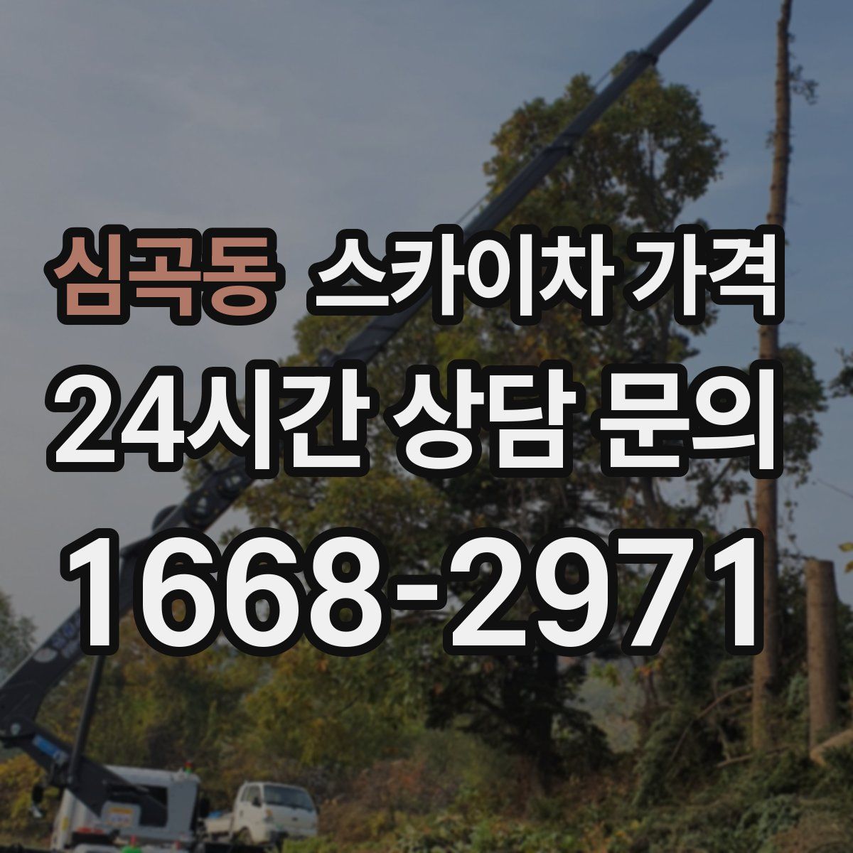 심곡동 스카이차 가격