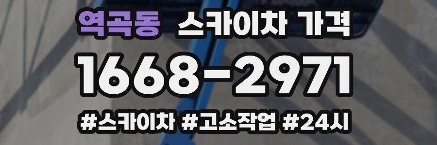역곡동 스카이차 가격