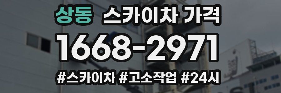 상동 스카이차 가격