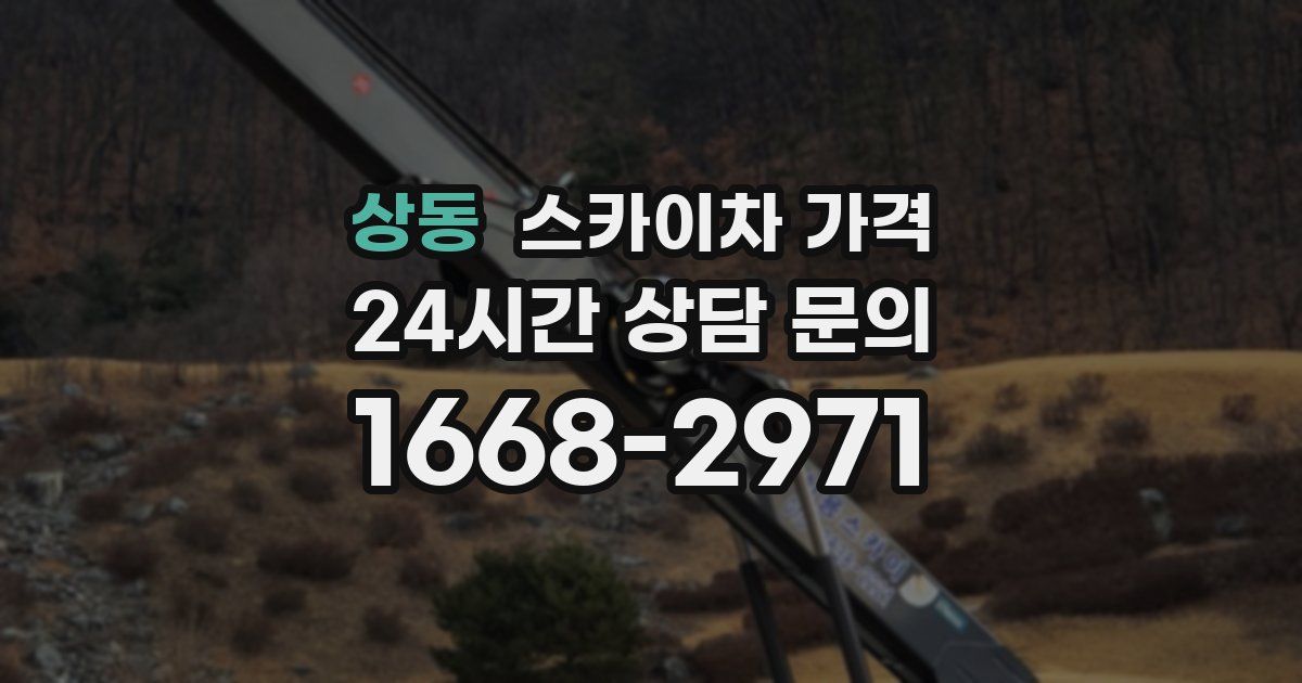 상동 스카이차 가격