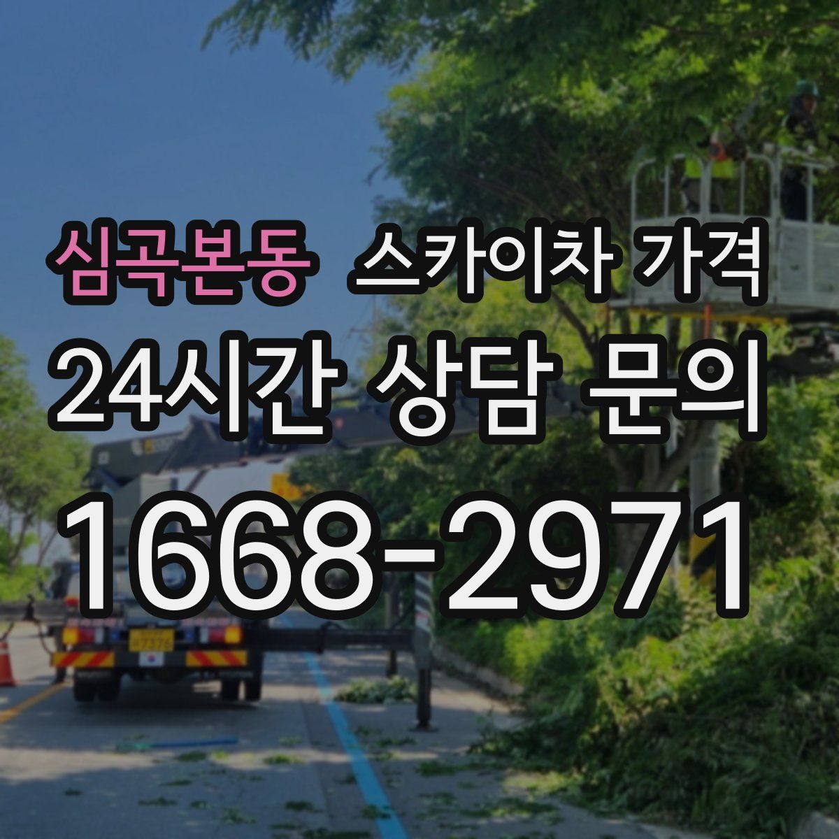 심곡본동 스카이차 가격