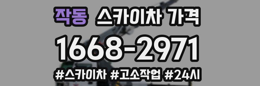 작동 스카이차 가격