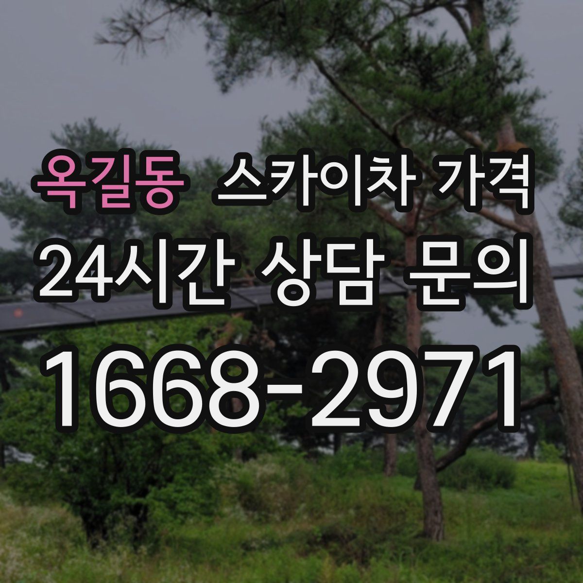 옥길동 스카이차 가격