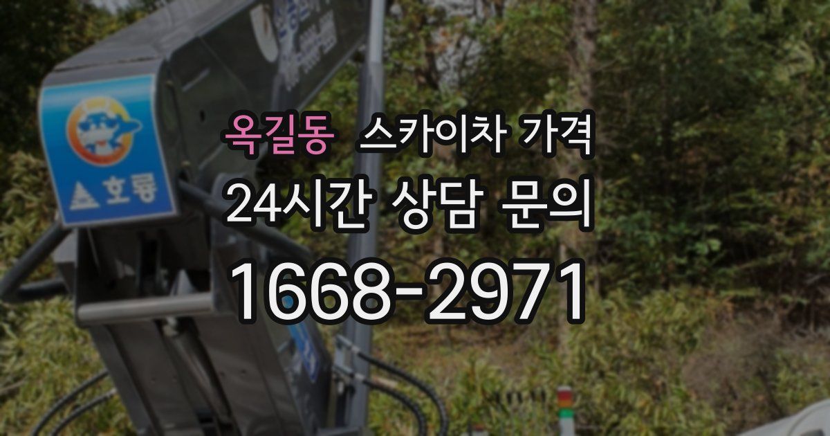 옥길동 스카이차 가격