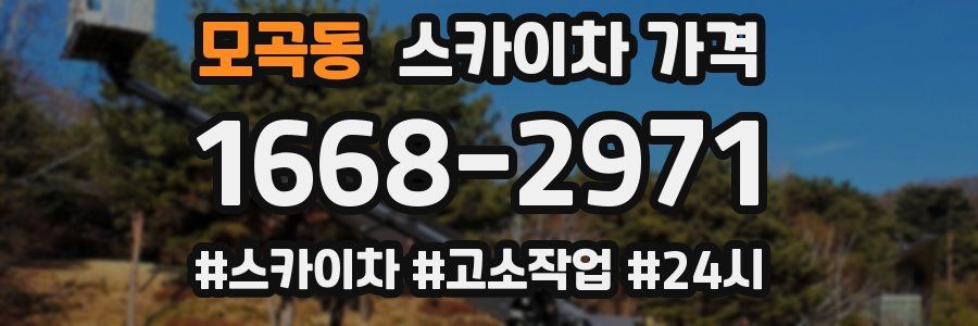 모곡동 스카이차 가격