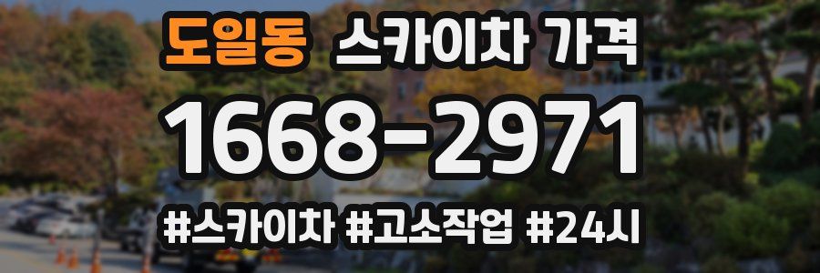 도일동 스카이차 가격