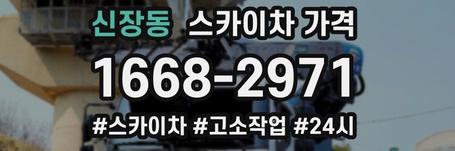 신장동 스카이차 가격